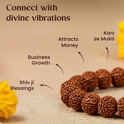 7 Mukhi Rudraksh Bracelet