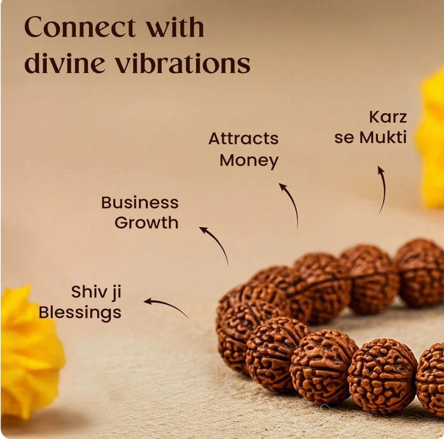 7 Mukhi Rudraksh Bracelet