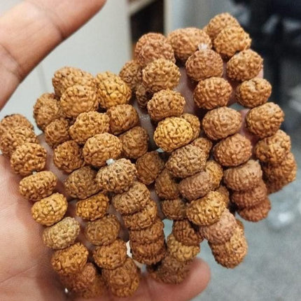 7 Mukhi Rudraksh Bracelet